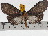  ( - ZWIER DNA 0781)  @14 [ ] Copyright (2010) Unspecified Research Collection of Jaap Zwier