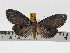  ( - ZWIER DNA 0785)  @14 [ ] Copyright (2010) Unspecified Research Collection of Jaap Zwier