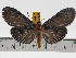  ( - ZWIER DNA 0786)  @14 [ ] Copyright (2010) Unspecified Research Collection of Jaap Zwier