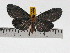  ( - ZWIER DNA 0788)  @14 [ ] Copyright (2010) Unspecified Research Collection of Jaap Zwier