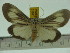  ( - ZWIER DNA 0107)  @13 [ ] Copyright (2010) Unspecified Research Collection of Jaap Zwier