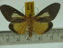  ( - ZWIER DNA 0108)  @12 [ ] Copyright (2010) Unspecified Research Collection of Jaap Zwier
