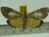  ( - ZWIER DNA 0109)  @12 [ ] Copyright (2010) Unspecified Research Collection of Jaap Zwier