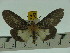  ( - ZWIER DNA 0114)  @12 [ ] Copyright (2010) Unspecified Research Collection of Jaap Zwier