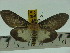  ( - ZWIER DNA 0115)  @12 [ ] Copyright (2010) Unspecified Research Collection of Jaap Zwier