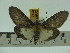  ( - ZWIER DNA 0117)  @12 [ ] Copyright (2010) Unspecified Research Collection of Jaap Zwier