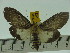  ( - ZWIER DNA 0118)  @12 [ ] Copyright (2010) Unspecified Research Collection of Jaap Zwier