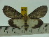  ( - ZWIER DNA 0121)  @12 [ ] Copyright (2010) Unspecified Research Collection of Jaap Zwier