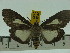  ( - ZWIER DNA 0133)  @12 [ ] Copyright (2010) Unspecified Research Collection of Jaap Zwier