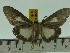  ( - ZWIER DNA 0136)  @12 [ ] Copyright (2010) Unspecified Research Collection of Jaap Zwier