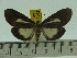  ( - ZWIER DNA 0141)  @13 [ ] Copyright (2010) Unspecified Research Collection of Jaap Zwier