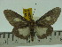  ( - ZWIER DNA 0144)  @13 [ ] Copyright (2010) Unspecified Research Collection of Jaap Zwier