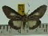  ( - ZWIER DNA 0145)  @13 [ ] Copyright (2010) Unspecified Research Collection of Jaap Zwier
