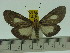  ( - ZWIER DNA 0146)  @13 [ ] Copyright (2010) Unspecified Research Collection of Jaap Zwier