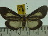  ( - ZWIER DNA 0147)  @13 [ ] Copyright (2010) Unspecified Research Collection of Jaap Zwier