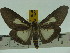  ( - ZWIER DNA 0150)  @13 [ ] Copyright (2010) Unspecified Research Collection of Jaap Zwier