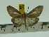  ( - ZWIER DNA 0158)  @13 [ ] Copyright (2010) Unspecified Research Collection of Jaap Zwier