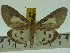  ( - ZWIER DNA 0160)  @13 [ ] Copyright (2010) Unspecified Research Collection of Jaap Zwier