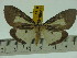  ( - ZWIER DNA 0161)  @13 [ ] Copyright (2010) Unspecified Research Collection of Jaap Zwier