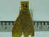  ( - ZWIER DNA 0169)  @12 [ ] Copyright (2010) Unspecified Research Collection of Jaap Zwier