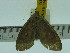  ( - ZWIER DNA 0172)  @12 [ ] Copyright (2010) Unspecified Research Collection of Jaap Zwier