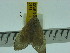  ( - ZWIER DNA 0173)  @12 [ ] Copyright (2010) Unspecified Research Collection of Jaap Zwier