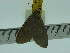  ( - ZWIER DNA 0174)  @11 [ ] Copyright (2010) Unspecified Research Collection of Jaap Zwier