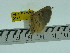  ( - ZWIER DNA 0177)  @12 [ ] Copyright (2010) Unspecified Research Collection of Jaap Zwier