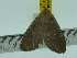  ( - ZWIER DNA 0181)  @12 [ ] Copyright (2010) Unspecified Research Collection of Jaap Zwier