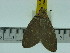  ( - ZWIER DNA 0183)  @12 [ ] Copyright (2010) Unspecified Research Collection of Jaap Zwier