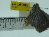  ( - ZWIER DNA 0184)  @12 [ ] Copyright (2010) Unspecified Research Collection of Jaap Zwier