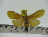  ( - ZWIER DNA 0239)  @13 [ ] Copyright (2010) Unspecified Research Collection of Jaap Zwier