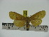  ( - ZWIER DNA 0240)  @12 [ ] Copyright (2010) Unspecified Research Collection of Jaap Zwier