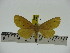  ( - ZWIER DNA 0241)  @13 [ ] Copyright (2010) Unspecified Research Collection of Jaap Zwier