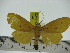  ( - ZWIER DNA 0242)  @14 [ ] Copyright (2010) Unspecified Research Collection of Jaap Zwier