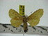  ( - ZWIER DNA 0243)  @13 [ ] Copyright (2010) Unspecified Research Collection of Jaap Zwier