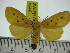  ( - ZWIER DNA 0244)  @12 [ ] Copyright (2010) Unspecified Research Collection of Jaap Zwier