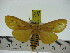  ( - ZWIER DNA 0245)  @13 [ ] Copyright (2010) Unspecified Research Collection of Jaap Zwier