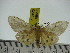  ( - ZWIER DNA 0247)  @13 [ ] Copyright (2010) Unspecified Research Collection of Jaap Zwier