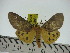  ( - ZWIER DNA 0248)  @11 [ ] Copyright (2010) Unspecified Research Collection of Jaap Zwier