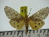  ( - ZWIER DNA 0249)  @13 [ ] Copyright (2010) Unspecified Research Collection of Jaap Zwier
