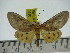  ( - ZWIER DNA 0250)  @11 [ ] Copyright (2010) Unspecified Research Collection of Jaap Zwier