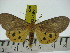  ( - ZWIER DNA 0251)  @11 [ ] Copyright (2010) Unspecified Research Collection of Jaap Zwier