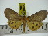  ( - ZWIER DNA 0252)  @13 [ ] Copyright (2010) Unspecified Research Collection of Jaap Zwier