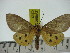  ( - ZWIER DNA 0253)  @11 [ ] Copyright (2010) Unspecified Research Collection of Jaap Zwier