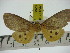  ( - ZWIER DNA 0254)  @12 [ ] Copyright (2010) Unspecified Research Collection of Jaap Zwier