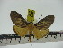  ( - ZWIER DNA 0256)  @13 [ ] Copyright (2010) Unspecified Research Collection of Jaap Zwier