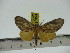  ( - ZWIER DNA 0257)  @12 [ ] Copyright (2010) Unspecified Research Collection of Jaap Zwier
