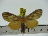  ( - ZWIER DNA 0278)  @13 [ ] Copyright (2010) Unspecified Research Collection of Jaap Zwier
