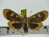  ( - ZWIER DNA 0282)  @15 [ ] Copyright (2010) Unspecified Research Collection of Jaap Zwier